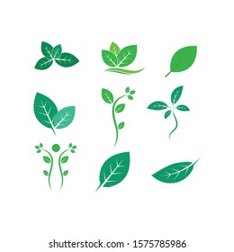 green leaf ecology nature element vector icon of go green design