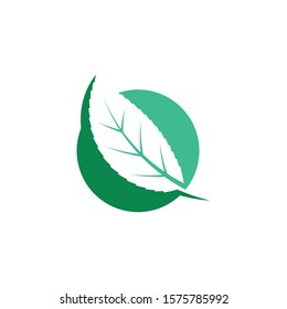green leaf ecology nature element vector icon of go green design
