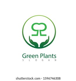 green leaf ecology nature element