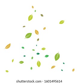 green leaf ecology nature element background vector icon of go green design