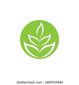 Green leaf ecology nature element vector icon