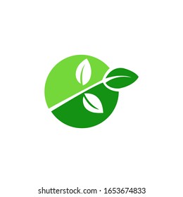 Green leaf ecology nature element vector icon, Leaf Icon, green leaf ecology nature element vector