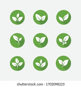 Ecología de hoja verde elemento vectorial icono vectorial, Icono de hoja, elemento natural de la ecología de hoja verde vectorial