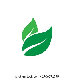 Green leaf ecology nature element vector template