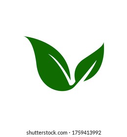 Green leaf ecology nature element vector icon