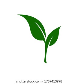 Green leaf ecology nature element vector icon