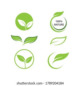 vector de la naturaleza de la ecología de la hoja verde