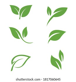 Green leaf ecology nature element vector icon, Leaf Icon, green leaf ecology nature element vector illustration 2021