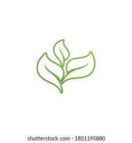  ecología de la hoja verde elemento de naturaleza vector