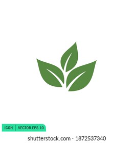 Icono vectorial del elemento de la ecología de la hoja verde