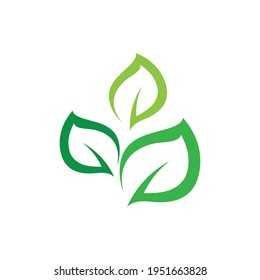 ecología de la hoja verde elemento de naturaleza vector