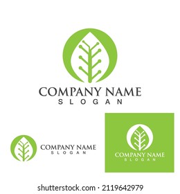 green leaf ecology nature element vector icon
,