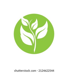 ecología de la hoja verde elemento de naturaleza vector