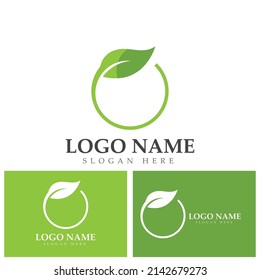 ecología de la hoja verde elemento de naturaleza vector logo