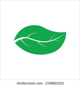 green leaf ecology nature element vector icon design. leaf icon conept. eco design conept. Vector illustration