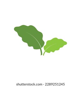 green leaf ecology nature element vector icon