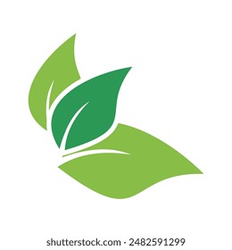 Icono de Vector de elemento de naturaleza de ecología de hoja verde, Icono de hoja verde, Vector de elemento de naturaleza de ecología de hoja verde