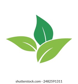 Icono de Vector de elemento de naturaleza de ecología de hoja verde, Icono de hoja verde, Vector de elemento de naturaleza de ecología de hoja verde