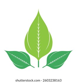 Green leaf ecology nature element vector icon, Leaf Icon, green leaf ecology nature element vector