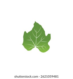 Green leaf ecology nature element vector icon, Leaf Icon, Green leaf ecology nature element vector