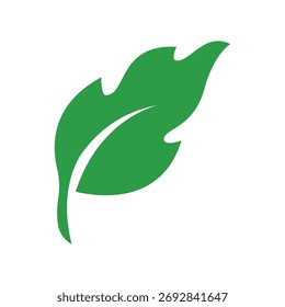 Verde folha ecologia elemento natureza vetor ícone, Ícone Folha, verde folha ecologia elemento natureza vetor
