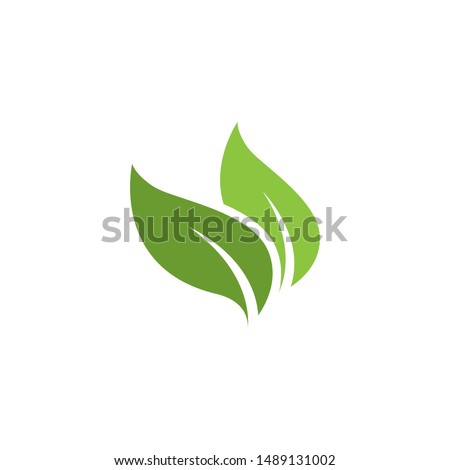 Green leaf ecology nature element vector icon. plant. tree nature logo design decorative elements. beautiful leaf vector. leaf vector. silhouette leaf vector