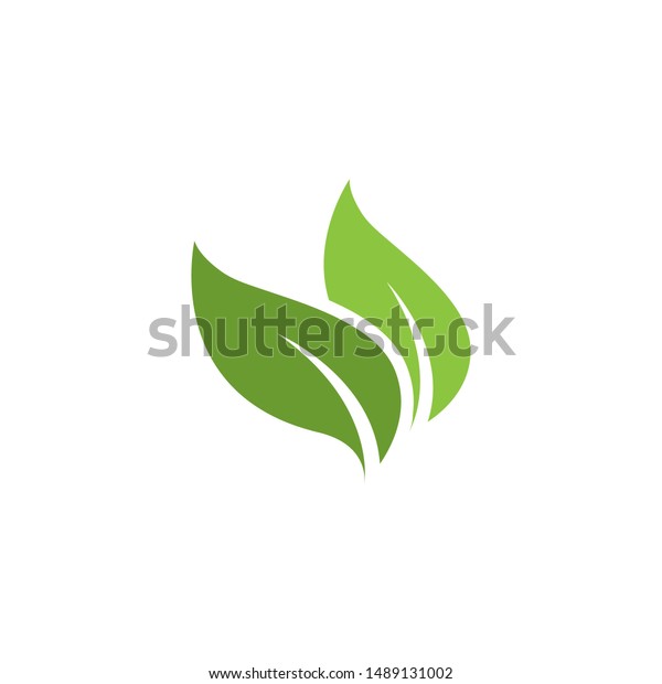 Green Leaf Ecology Nature Element Vector Stock Vector Royalty