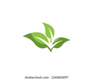 Green leaf ecology nature logo
