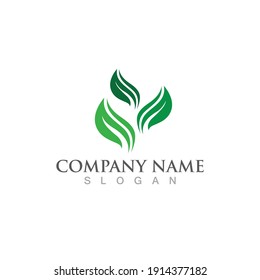 green leaf ecology nature logo element vector