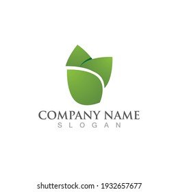  green leaf ecology nature logo element vector