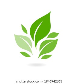 Green leaf ecology nature vector icon. plants and leaves. Logos of green leaf ecology nature element vector icon. Tree leaf ecology nature vector icon