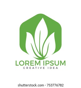 Green leaf ecology nature vector design. Environment decoration modern leaf emblem.