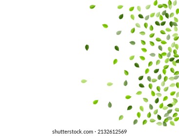 Green Leaf Ecology Vector Border. Organic Foliage Template. Mint Greens Forest Poster. Leaves Abstract Plant.