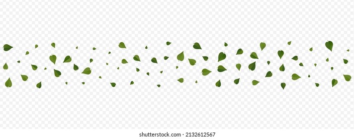 Green Leaf Ecology Vector Panoramic Transparent Background Illustration. Blur Greens Backdrop. Swamp Leaves Flying Plant. Foliage Transparent Design.
