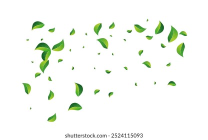 Green Leaf Ecology Vector White Background. Forest Leaves Design. Swamp Foliage Abstract Brochure. Greens Tree Banner.
