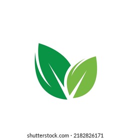 green leaf element  icon of nature concept  design template web