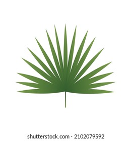 Green leaf element, Vector, Illustration.