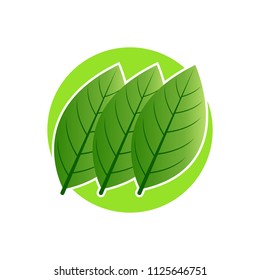 Green leaf emblem badge design logo. Natural health environment vector illustration