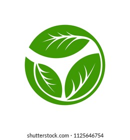 Green leaf emblem badge design logo. Natural health environment vector illustration