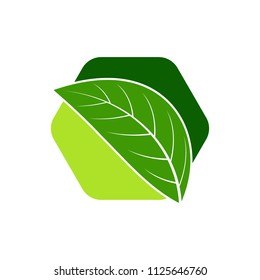 Green leaf emblem badge design logo. Natural health environment vector illustration