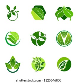 Green leaf emblem badge design logo. Natural health environment vector illustration