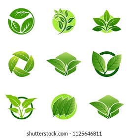 Green leaf emblem badge design logo. Natural health environment vector illustration