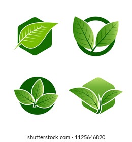 Green leaf emblem badge design logo. Natural health environment vector illustration
