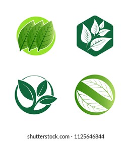 Green leaf emblem badge design logo. Natural health environment vector illustration