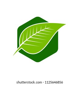 Green leaf emblem badge design logo. Natural health environment vector illustration