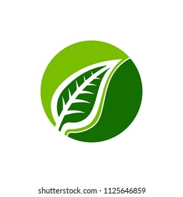 Green leaf emblem badge design logo. Natural health environment vector illustration