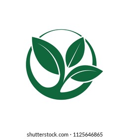 Green leaf emblem badge design logo. Natural health environment vector illustration