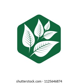 Green leaf emblem badge design logo. Natural health environment vector illustration