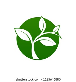 Green leaf emblem badge design logo. Natural health environment vector illustration