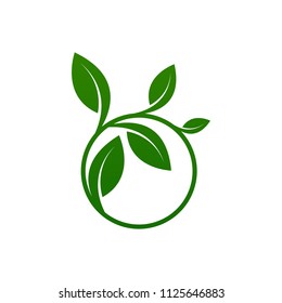Green leaf emblem badge design logo. Natural health environment vector illustration